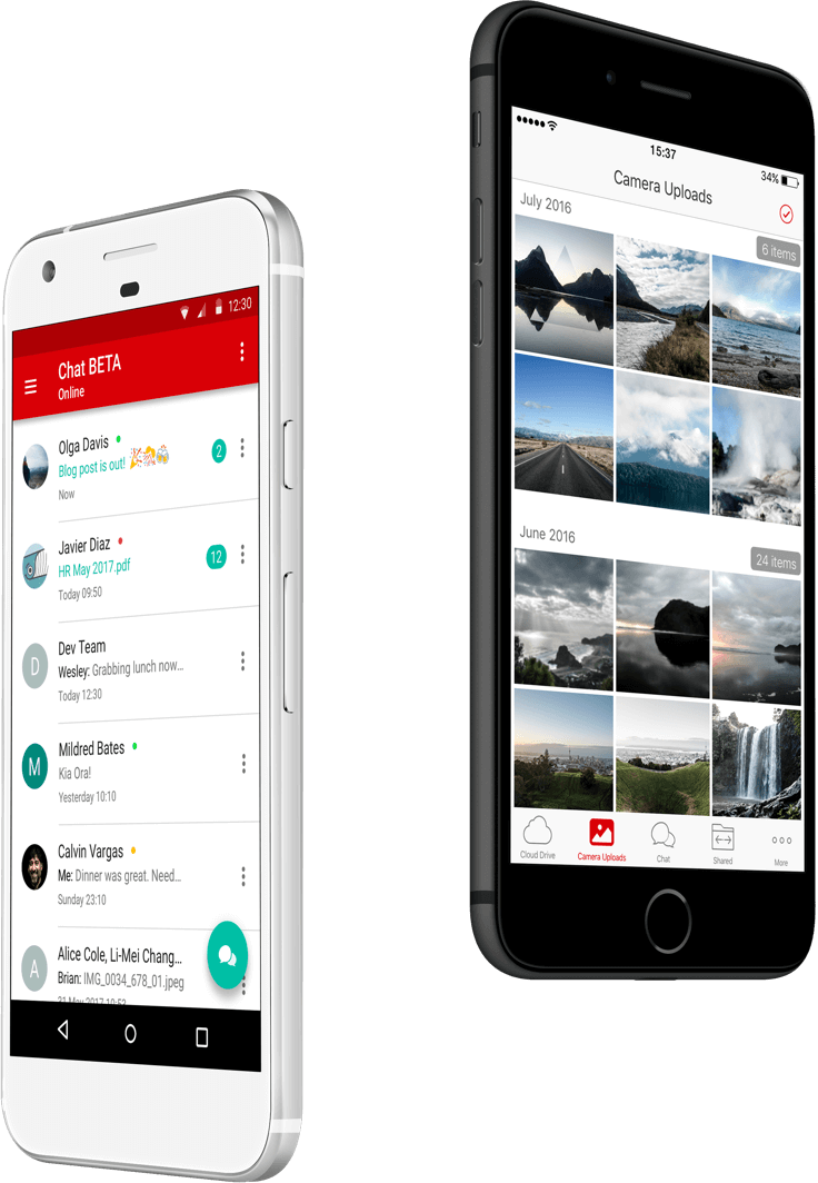 Скриншот (снимок экрана) MEGA