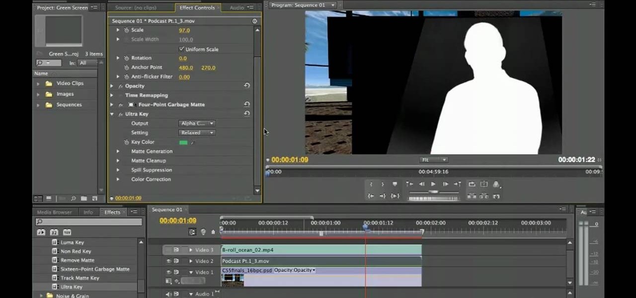 Скриншот (снимок экрана) Adobe Premiere Pro