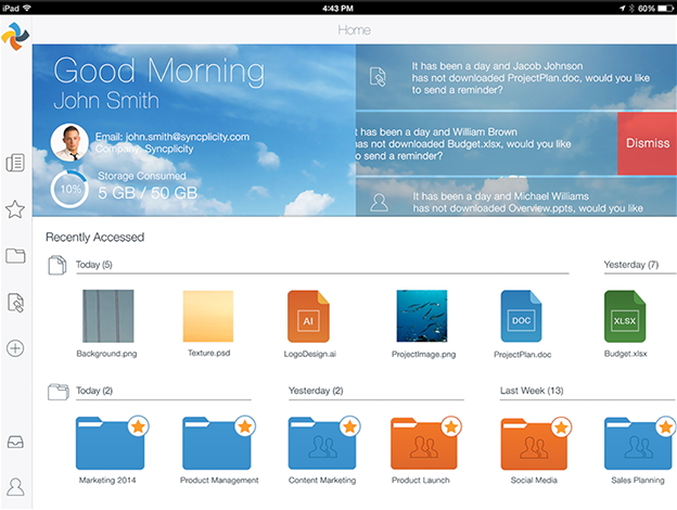 Скриншот (снимок экрана) Syncplicity
