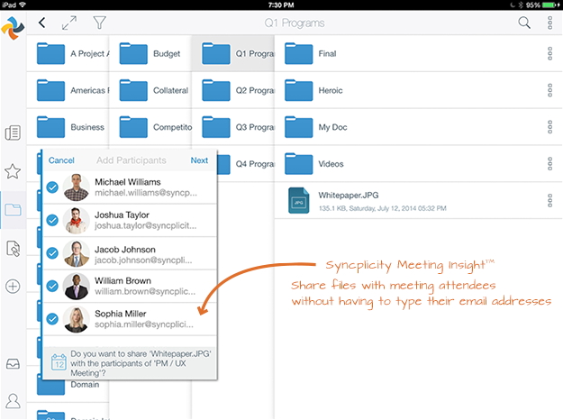 Скриншот (снимок экрана) Syncplicity