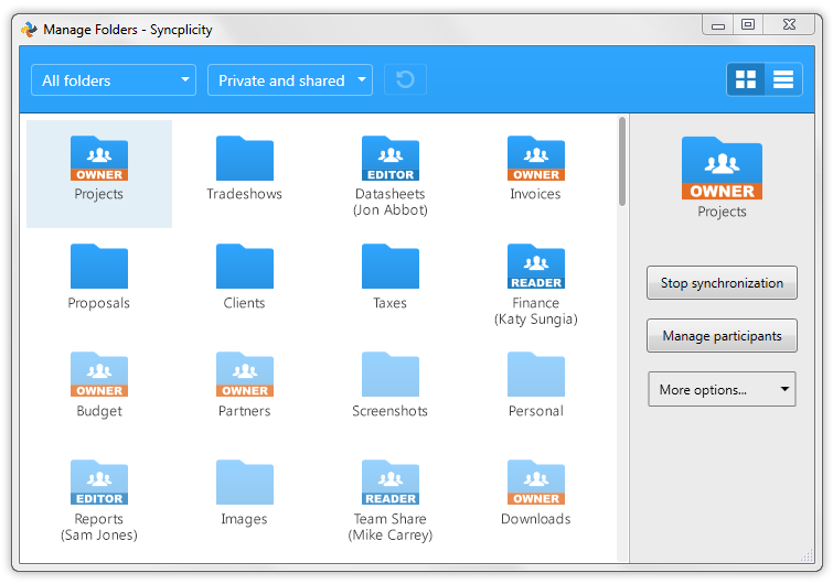 Скриншот (снимок экрана) Syncplicity