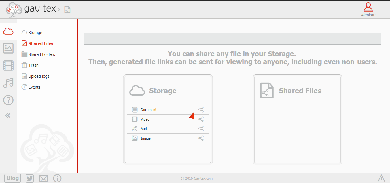 Скриншот (снимок экрана) Gavitex