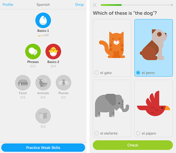 Скриншот (снимок экрана) ЯКласс