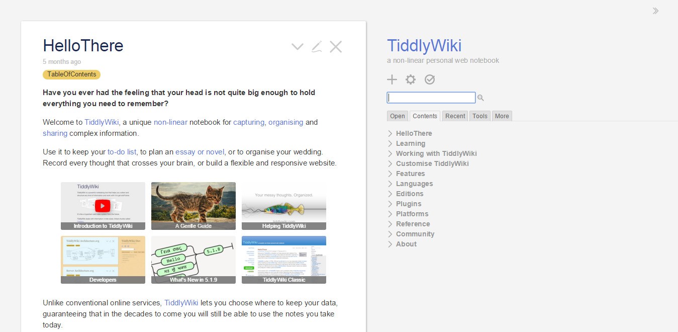 Скриншот (снимок экрана) TiddlyWiki