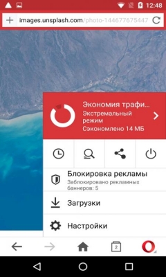 Скриншот (снимок экрана) Opera Mini
