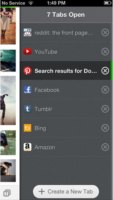Скриншот (снимок экрана) Dolphin