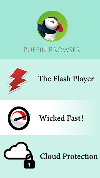 Скриншот (снимок экрана) Puffin Web Browser