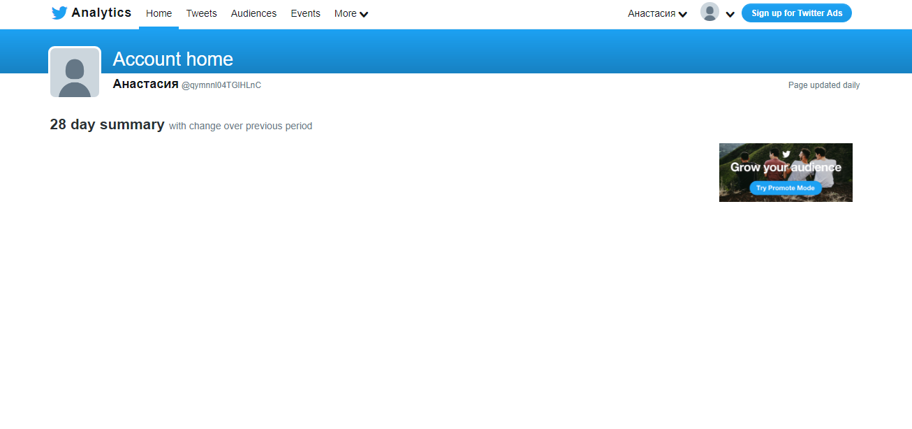 Скриншот (снимок экрана) Twitter Analytics