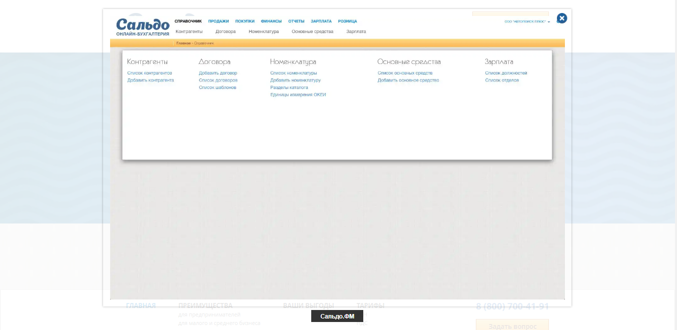 Скриншот (снимок экрана) Сальдо
