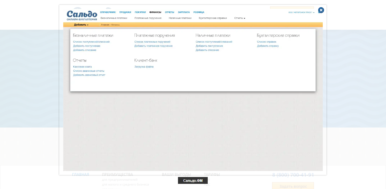 Скриншот (снимок экрана) Сальдо