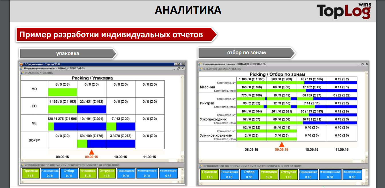 Скриншот (снимок экрана) TopLog