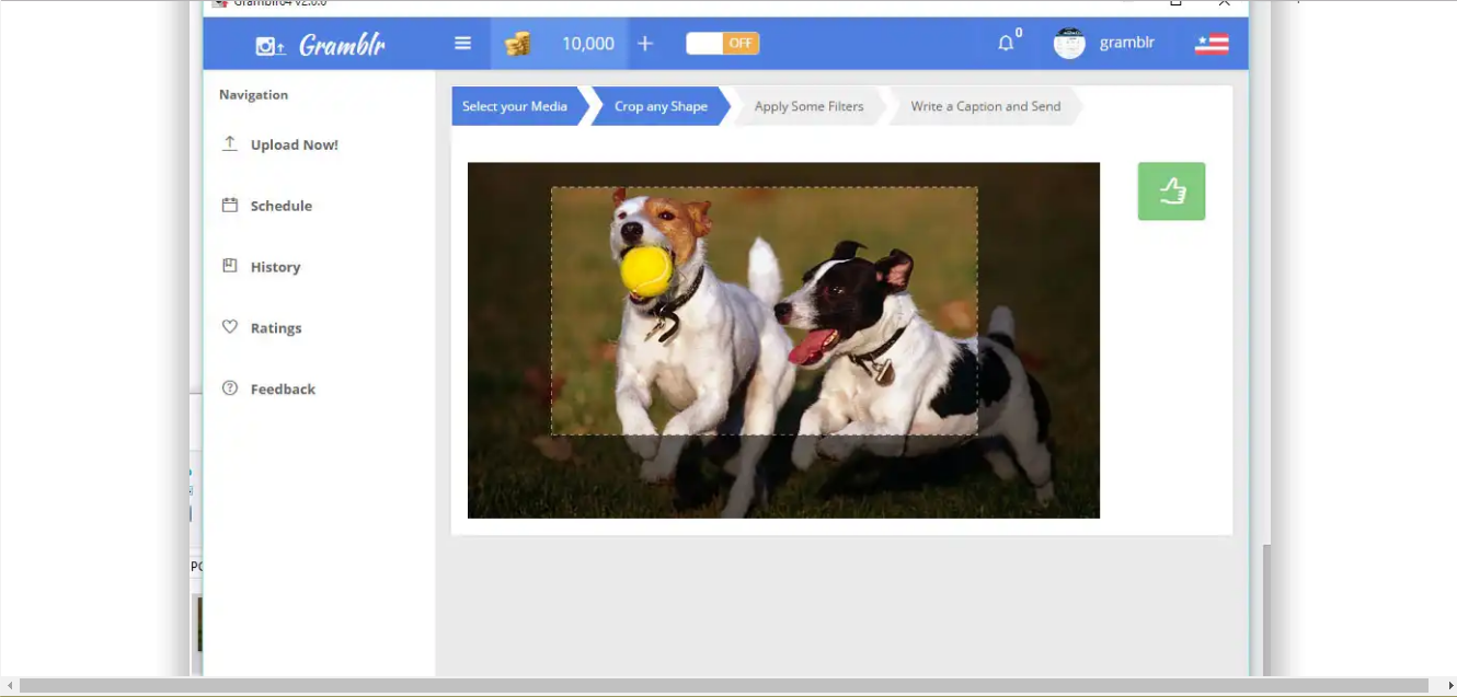Скриншот (снимок экрана) Gramblr