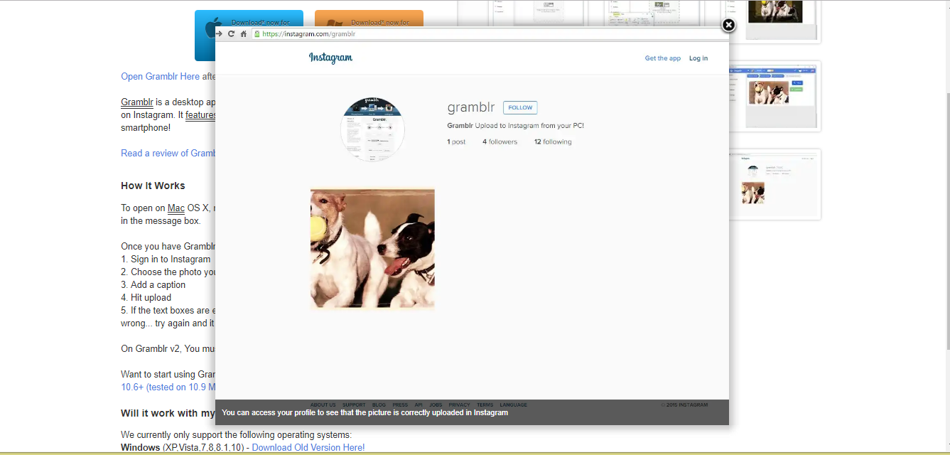 Скриншот (снимок экрана) Gramblr