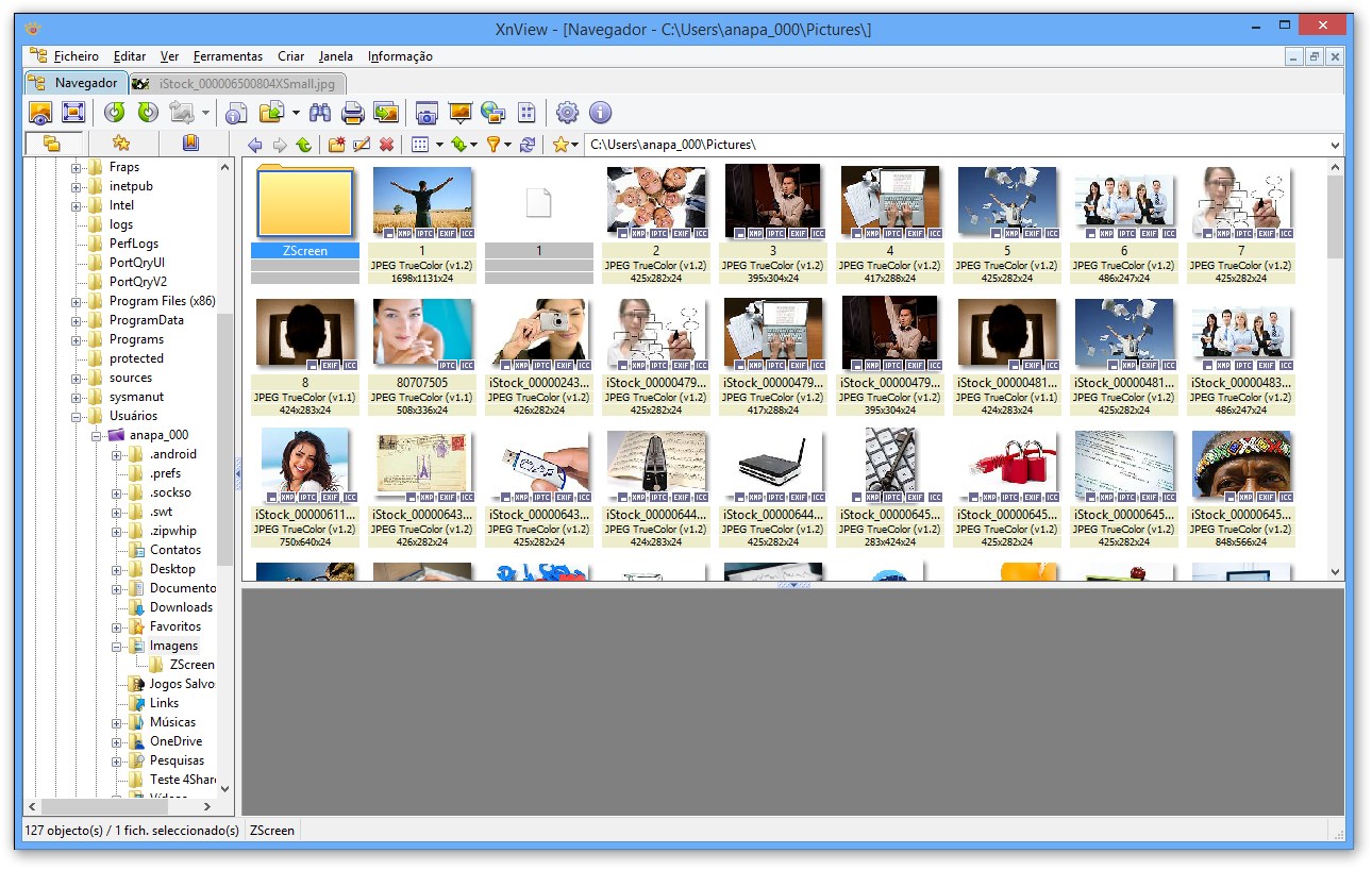 Скриншот (снимок экрана) XnView