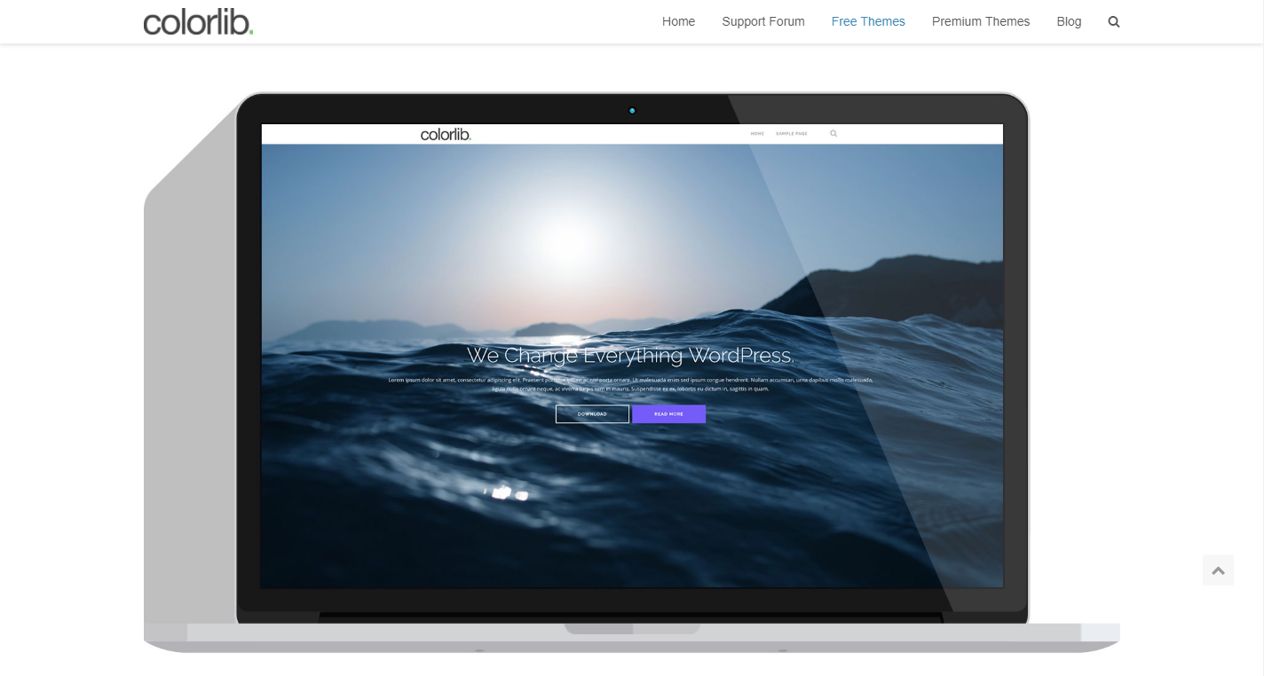 Скриншот (снимок экрана) Colorlib