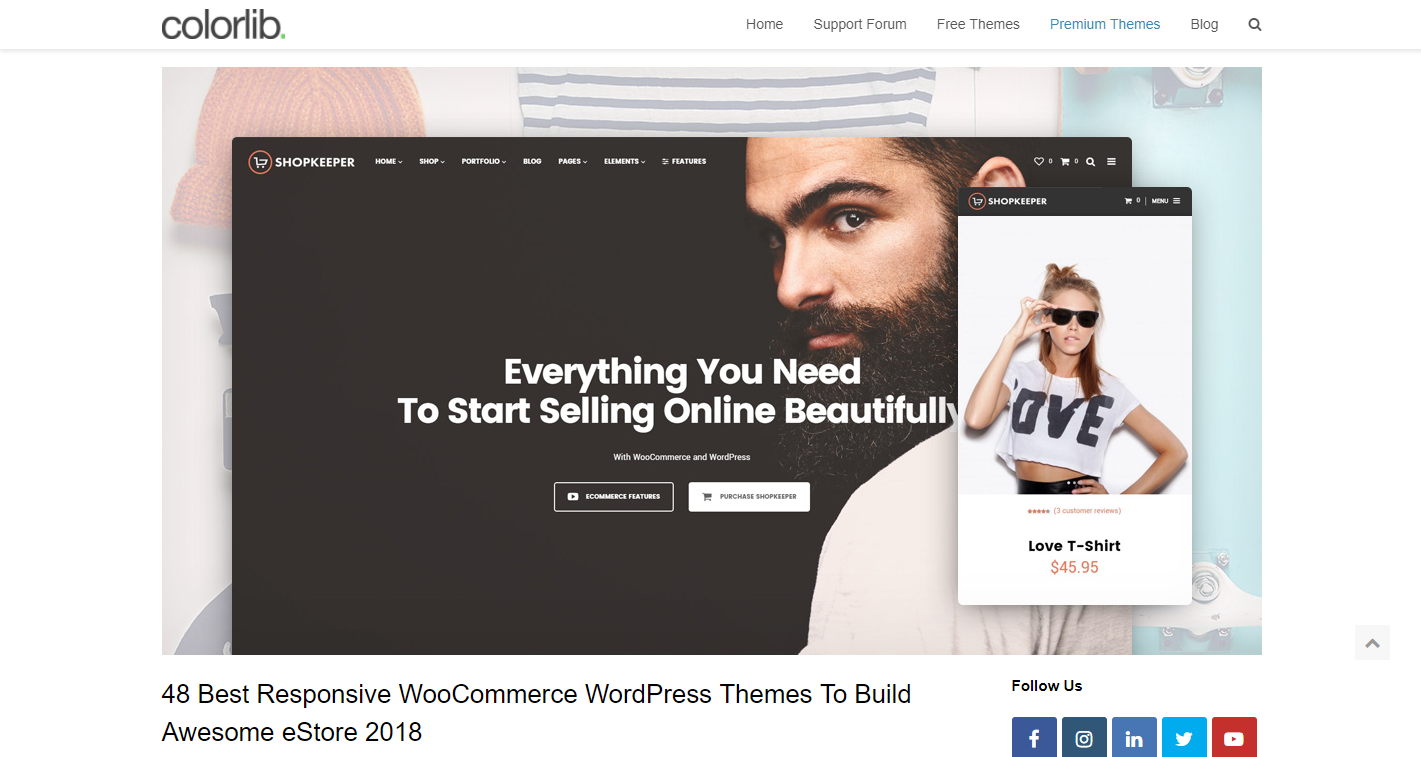 Скриншот (снимок экрана) Colorlib