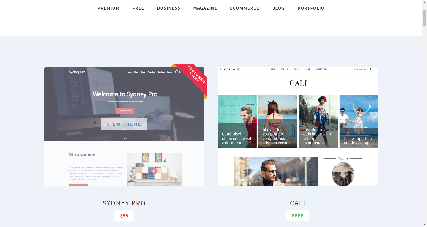 Скриншот (снимок экрана) aThemes