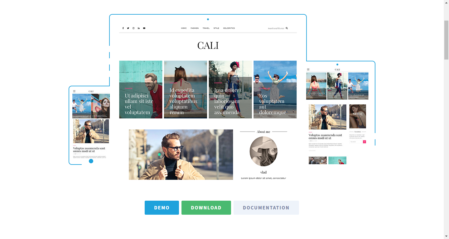 Скриншот (снимок экрана) aThemes