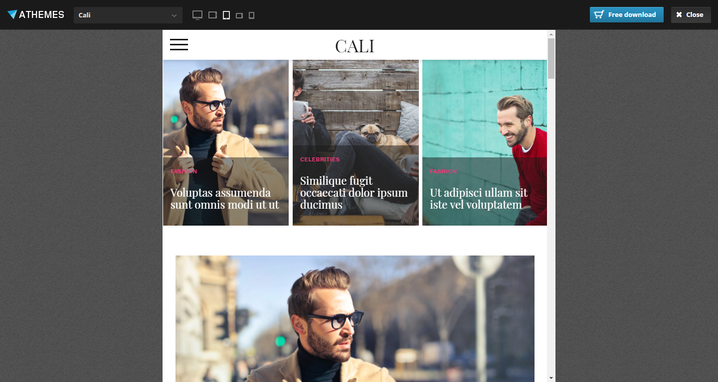 Скриншот (снимок экрана) aThemes