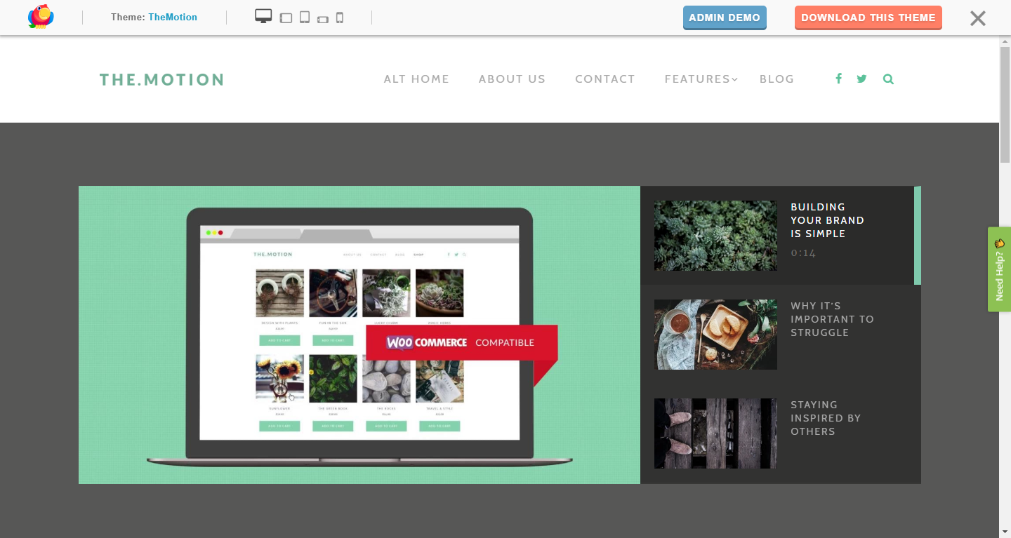 Скриншот (снимок экрана) Themeisle