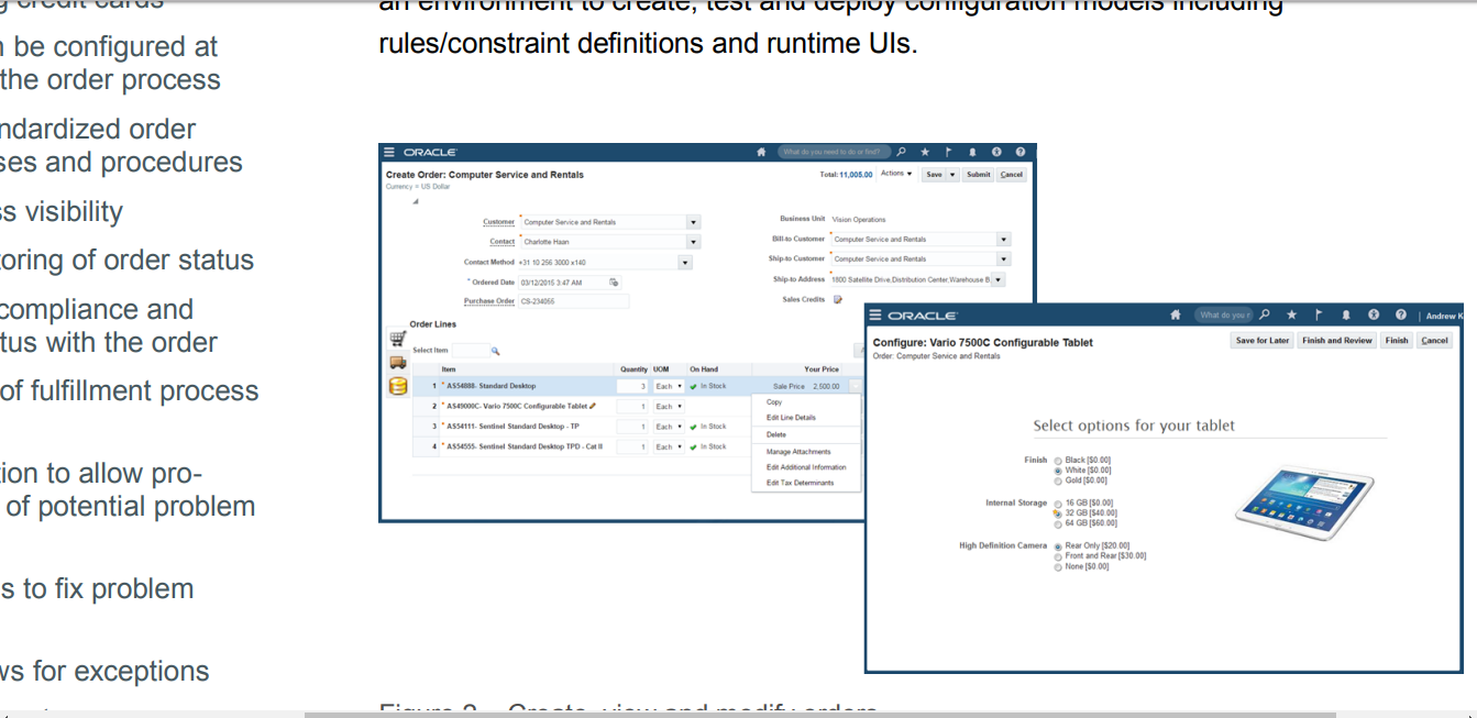 Скриншот (снимок экрана) Oracle ERP