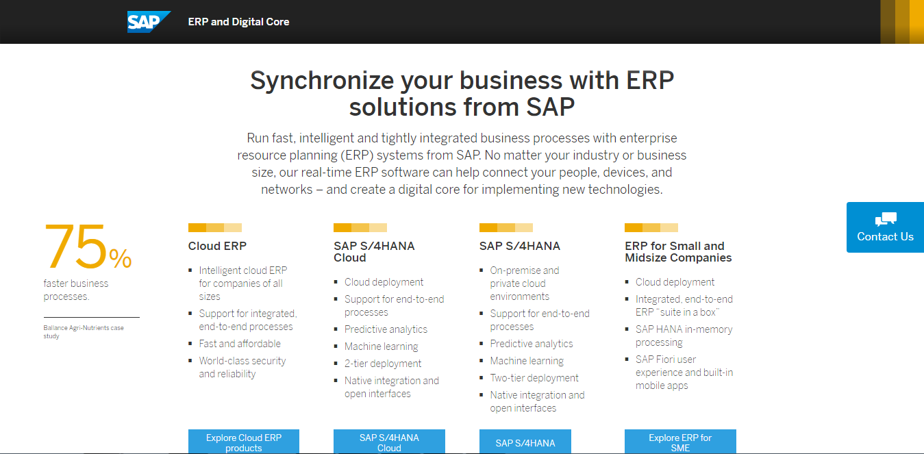Скриншот (снимок экрана) mySAP Business Suite
