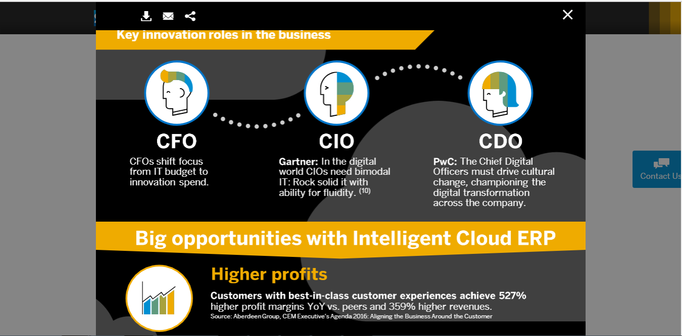 Скриншот (снимок экрана) mySAP Business Suite