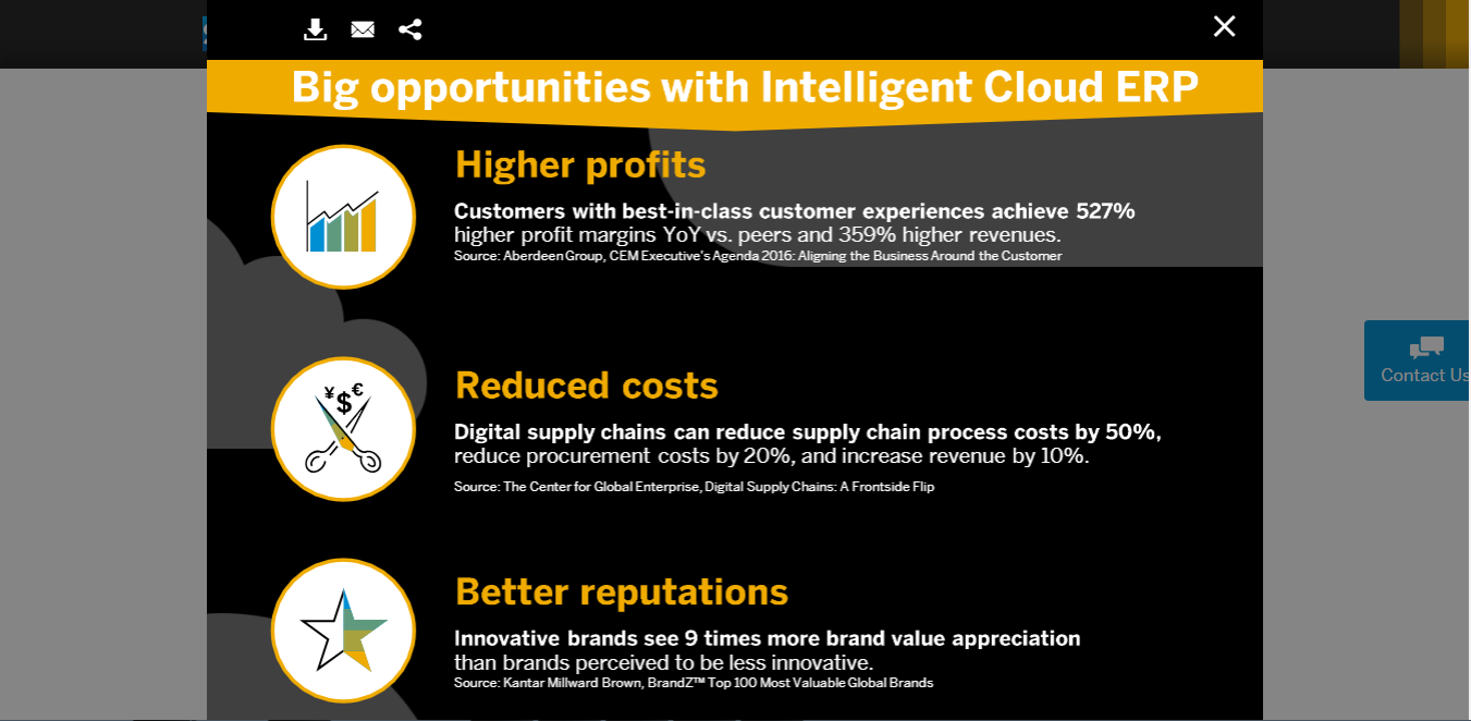 Скриншот (снимок экрана) mySAP Business Suite