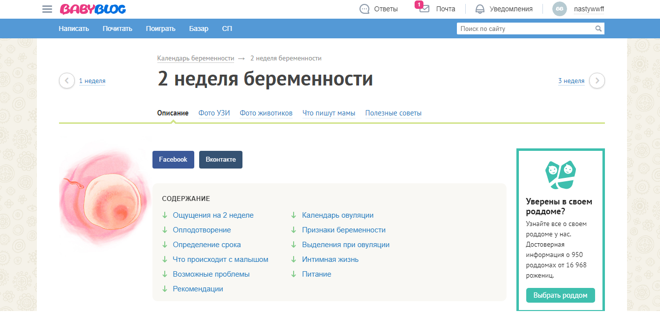 Скриншот (снимок экрана) BabyBlog