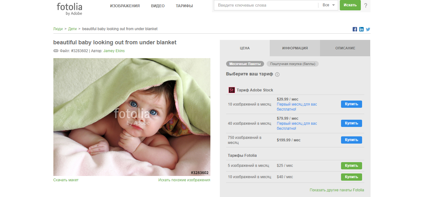 Скриншот (снимок экрана) Fotolia